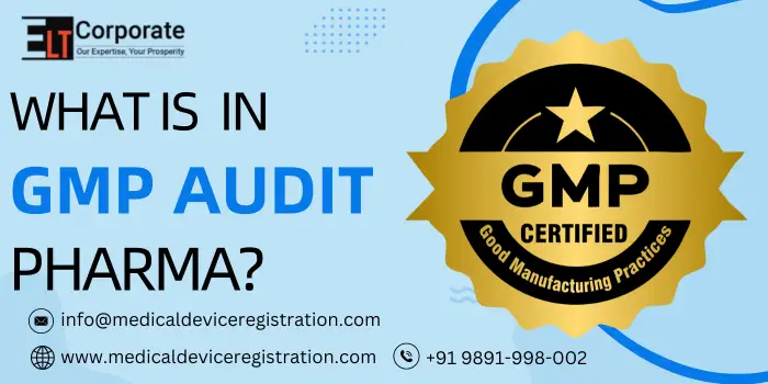 What Is GMP Audit In Pharma?