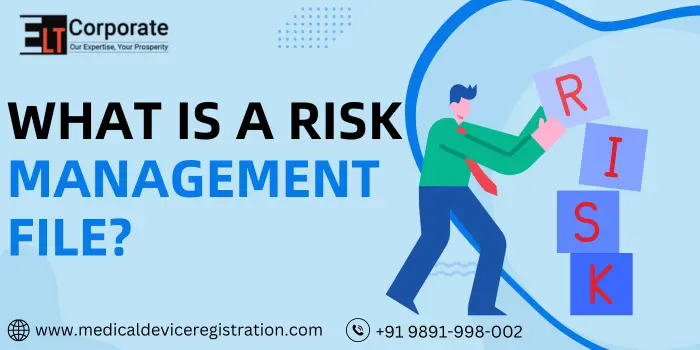 What is a Risk Management File